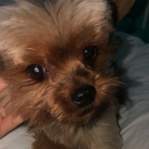 Meet your Posher, Julia